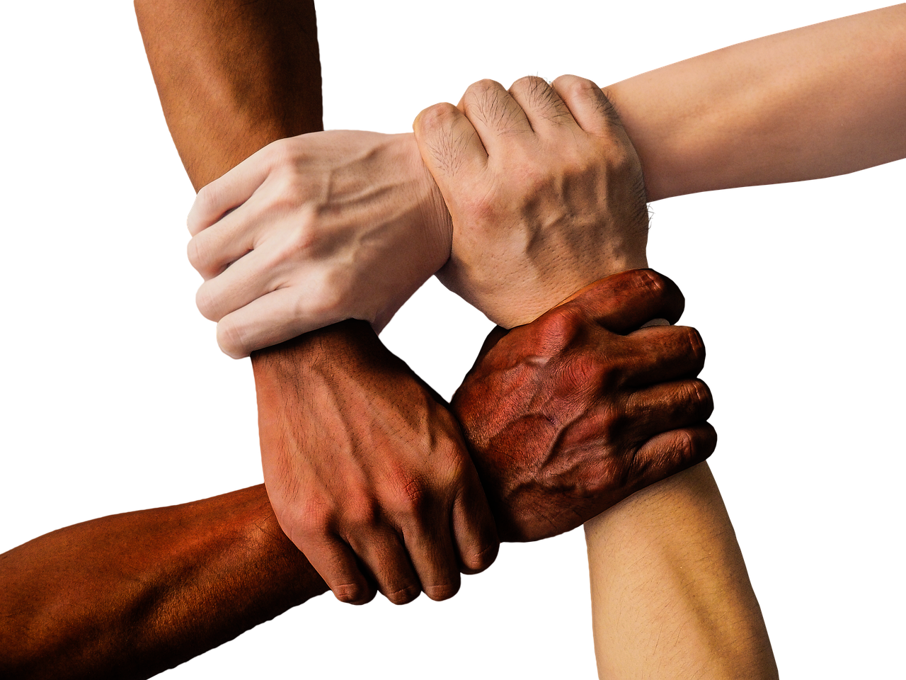 hands, team, united, together, people, unity, teamwork, group, hand in hand, union, support, friendship, cooperation, community, holding, connection, harmony, diversity, cut out, hands, hands, hands, hands, team, team, team, team, team, together, together, people, people, people, people, unity, teamwork, teamwork, group, support, support, friendship, friendship, community, community, community, community, connection, diversity, diversity, diversity, diversity